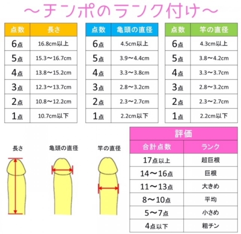 チンコ　男性器　サイズ　コンプレックス　平均　日本人
